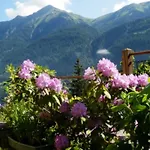 Haus Machreich Apartamento Bad Gastein