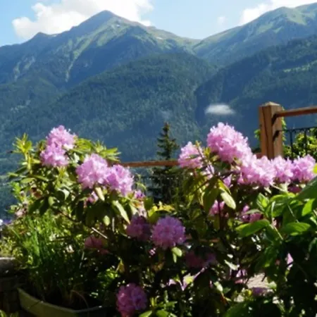 ハウス マッハライヒ アパート バードガシュタイン